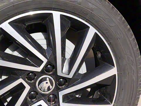 2020�� 1.5L �Զ����ʰ�