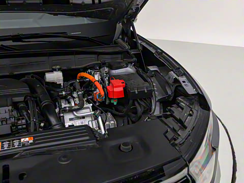 2025�� ���L 2.0T EcoBoost E�춯��������������