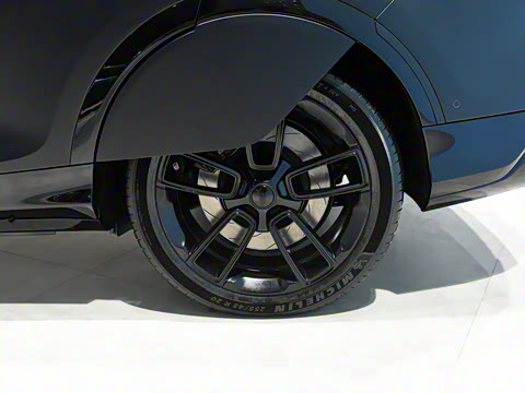 2022�� DNA �����