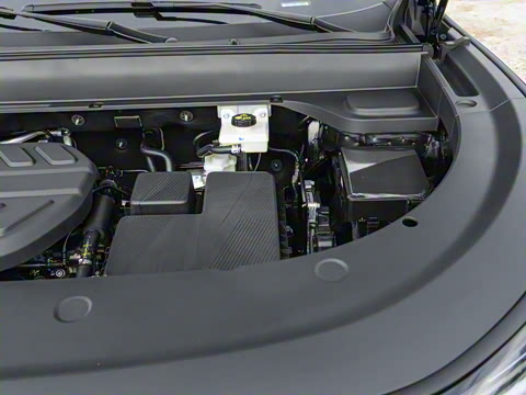 2025�� 145��ҫ��