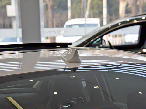 2022�� ���������