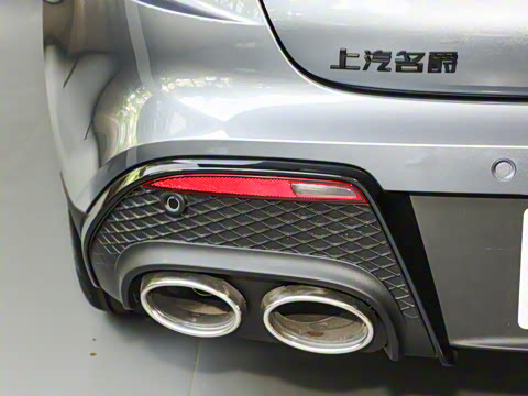 2025�� 1.5T 300 DCT������