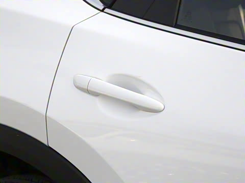 2022�� 2.0L �Զ�����������