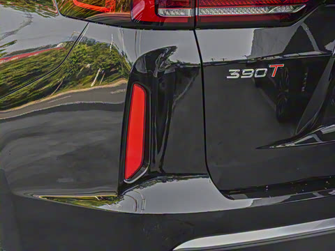 2021�� 390T ������ҫ��������