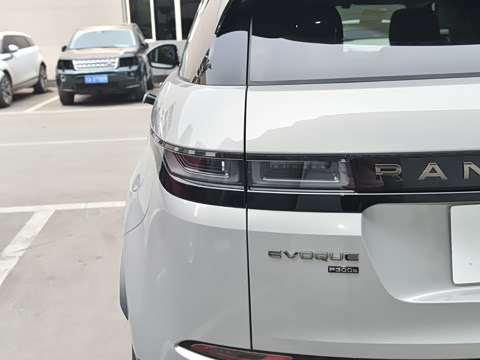 2021�� ����L P300e ������