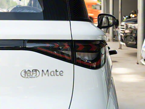 2026�� Mate 305km ����̤�˰�