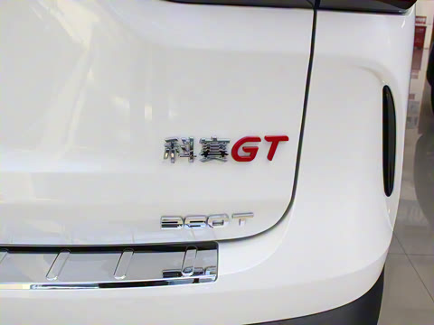 2021�� GT 2.0T �Զ��콢�� 7��
