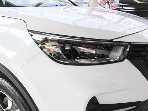 2021�� GT 2.0T �Զ��콢�� 7��