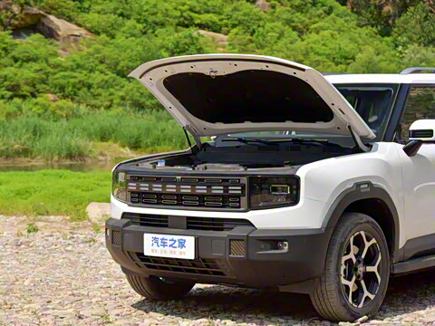 2025�� 220km ����������