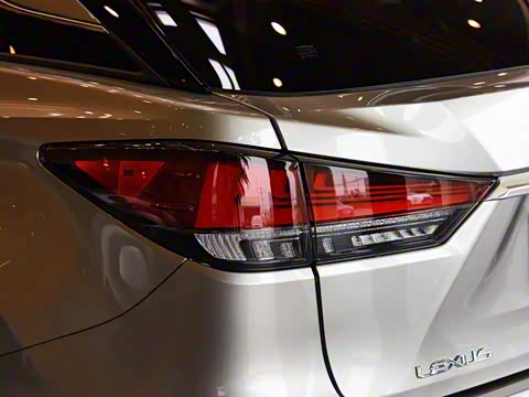 2020�� 300 �������Ű� ��VI