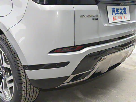 2021�� ����L P300e ������