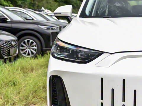 2025�� 120 �������������� 7�� �������