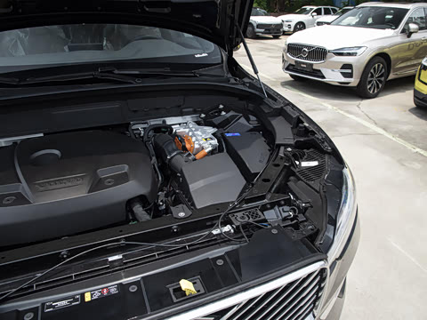 2026�� ���ʽ�춯 ������������Զ������