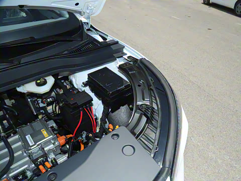 2025�� 445km ��ѡ��