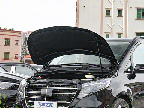 2025�� V 300 L ����������