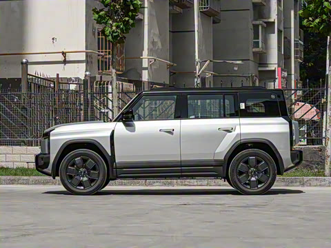 2025�� 501���������