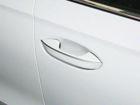 2025�� Pro 300TSI ��ҫ��