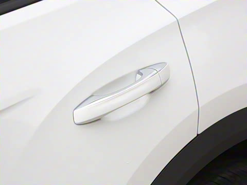 2025�� �Ŀ�� 300TSI DSG���������