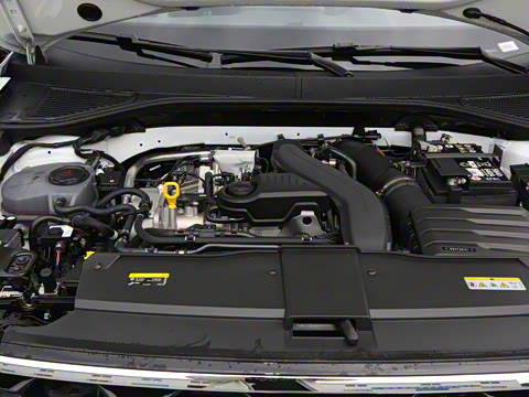 2025�� �Ŀ�� 300TSI DSG���������