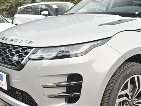 2022�� ����L P300e ���ʽ�綯��ϰ�