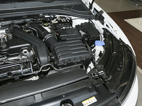 2025�� Pro 300TSI ��ҫ��