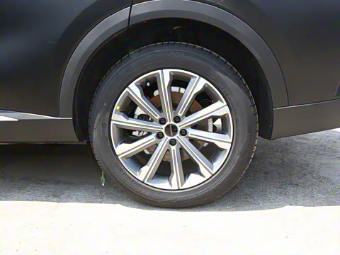 2025�� ̽����