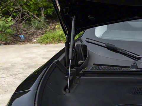 2025�� ����������������Ժ��