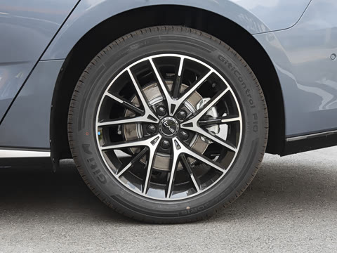 2025�� �Ǽݰ� DM-i 1.5L 125km ��Ӣ��