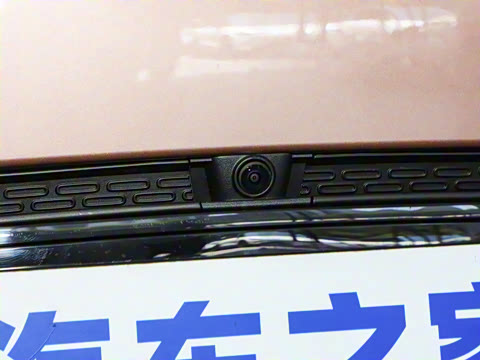 2026�� �鶯��������