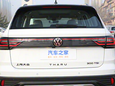 2023�� 300TSI ���������