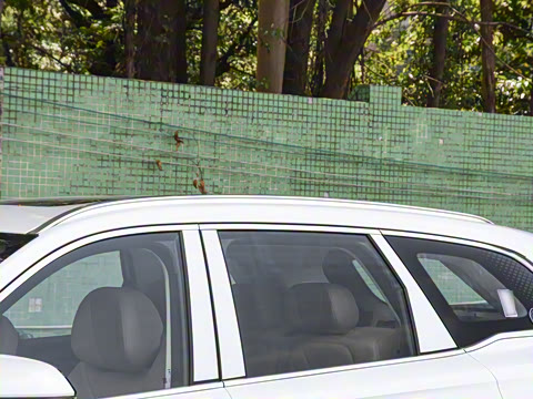 2025�� 2.0T ��������� 7��