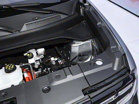 2026�� 501km�����