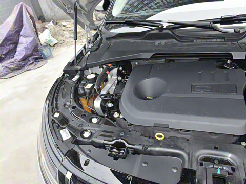 2021�� ����L P300e ������