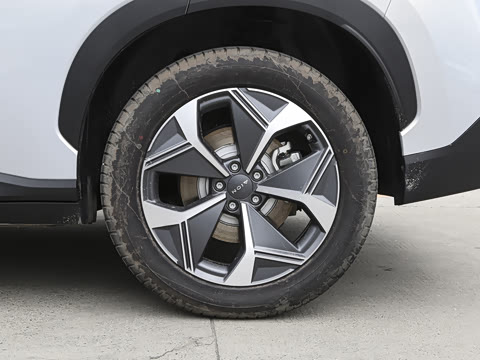 2024�� Plus 70 ��ҫ�� �������