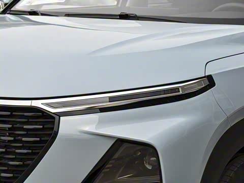 2020�� 1.5L CVT 24Сʱ���߾�Ӣ��