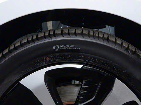 2019�� ������