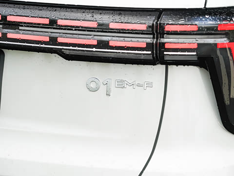 2023�� 1.5TD EM-F ����