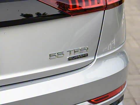 2019�� 55 TFSI ����������