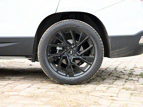 2022�� ��è�� 1.4T �Զ�������Pro