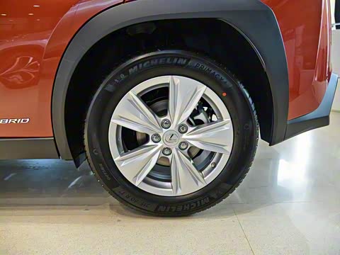 2020�� 260h ̽��Ȥ��