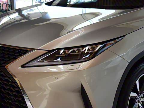 2020�� 300 �������Ű� ��VI