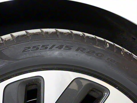 2022�� �������������