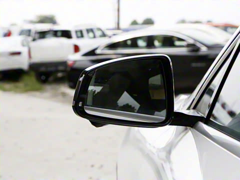 2022�� �������������