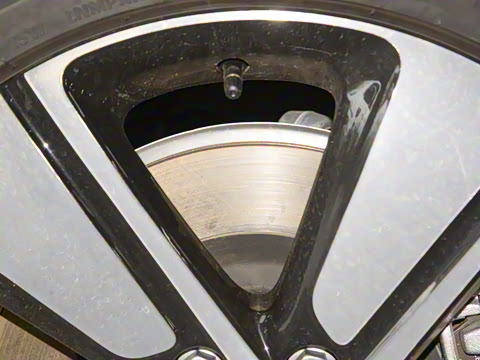 2026�� �鶯������