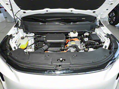 2026�� 165km ������������ 7��