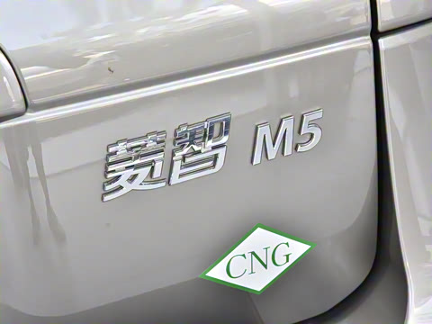 2024�� M5 1.6L ������7��CNG