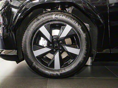 2025�� ����������Plus