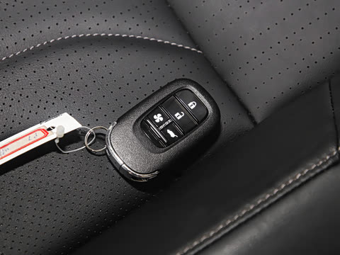 2025�� ����������Plus