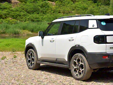 2025�� 220km ����������