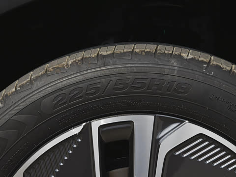 2025�� 55km ������